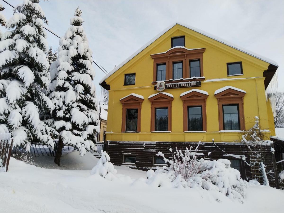 Penzion Karolina Lucany nad Nisou Exterior photo