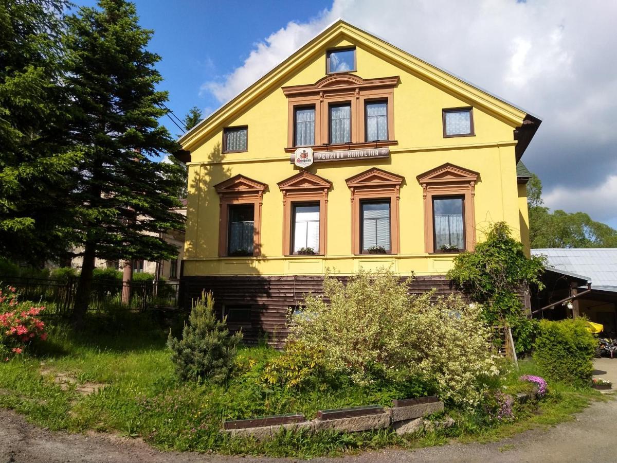 Penzion Karolina Lucany nad Nisou Exterior photo